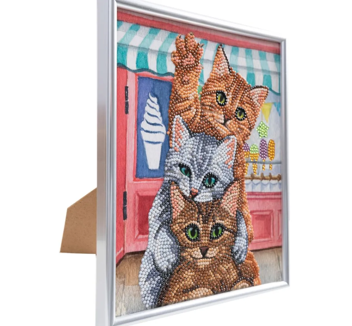 Discount Craft Buddy Diamond Painting "Picture Frame Crystal Art"