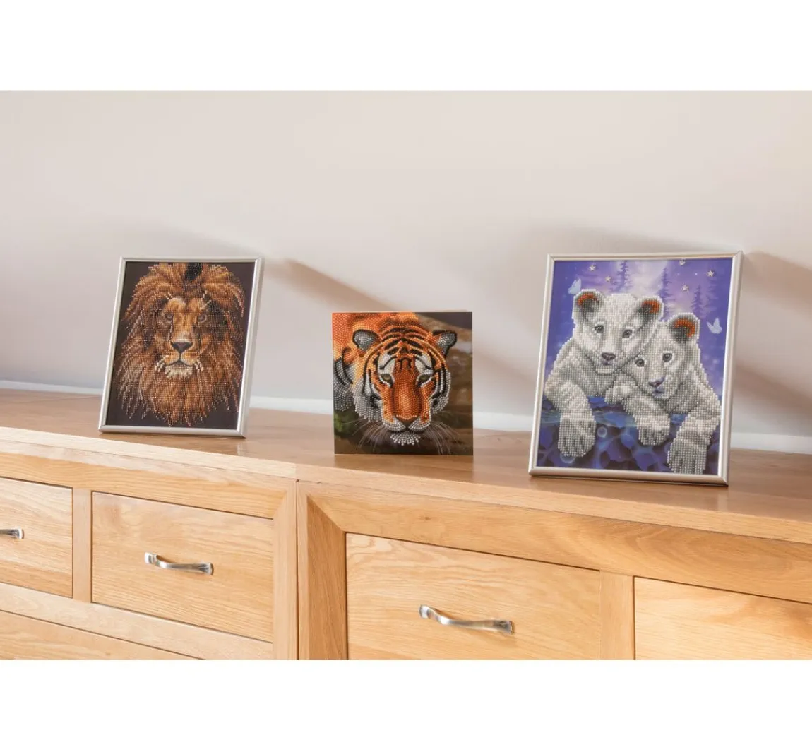 Discount Craft Buddy Diamond Painting "Picture Frame Crystal Art"