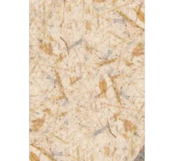 Hot URSUS Digital "Bananenpapier"