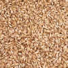Clearance ohne Marke Dinkelspreu 250g