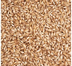 Clearance ohne Marke Dinkelspreu 250g