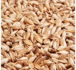 Clearance ohne Marke Dinkelspreu 250g