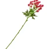 Discount DPI Distel Zweig