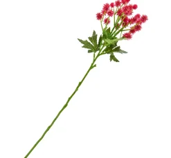 Discount DPI Distel Zweig