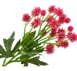 Discount DPI Distel Zweig