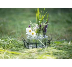 Online ohne Marke Drahtkorb mit 6 Glasflaschen