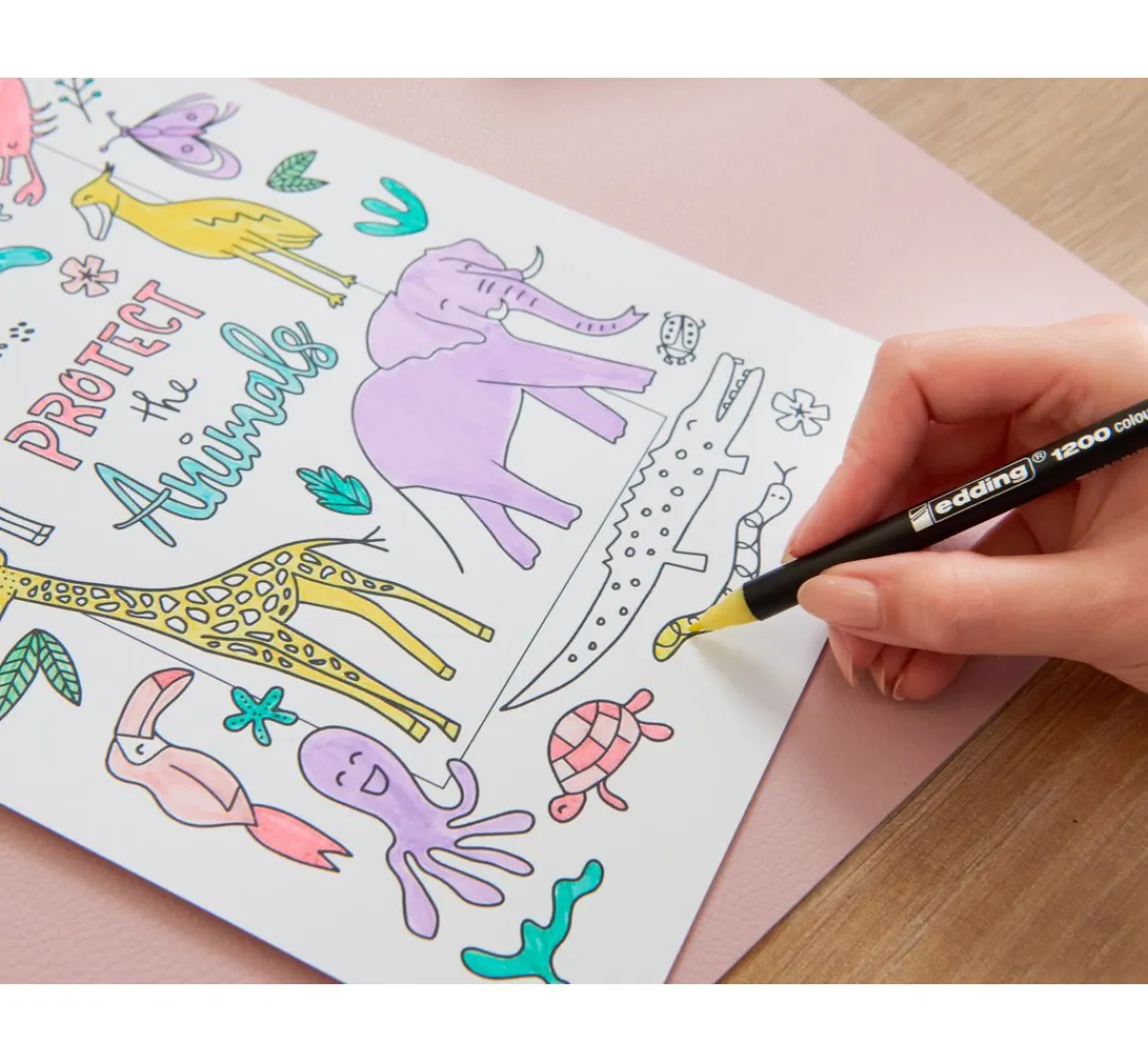Best edding 1200 Color Pen