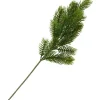 DPI Edel Tannenzweig "Tanya"