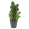 New DPI Edeltannenbaum "Rory" im Topf