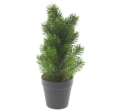 New DPI Edeltannenbaum "Rory" im Topf