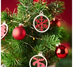 New DPI Edeltannenbaum "Rory" im Topf