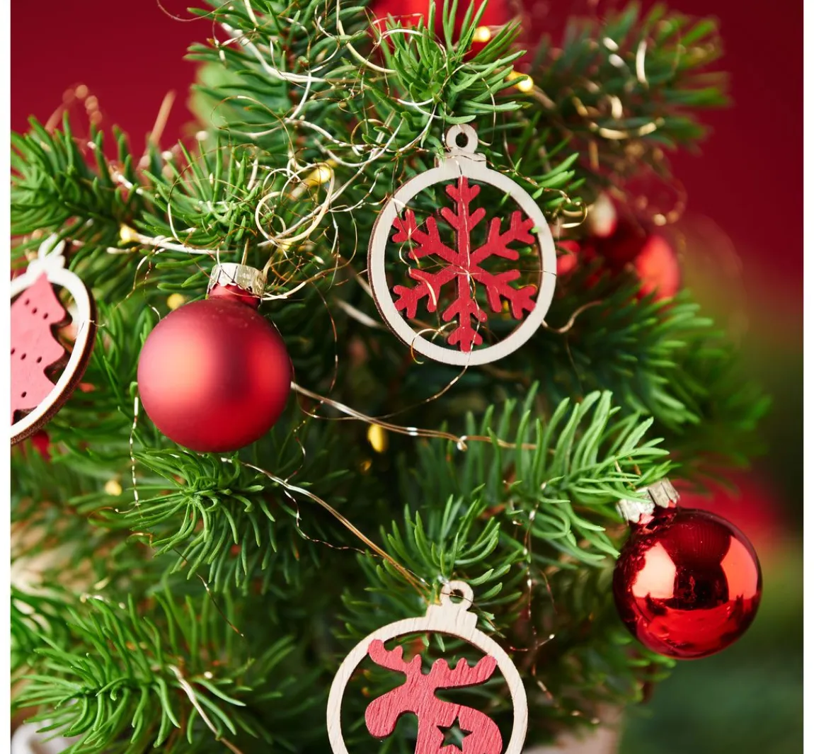 New DPI Edeltannenbaum "Rory" im Topf