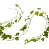 Outlet DPI Efeugirlande "Greenery"