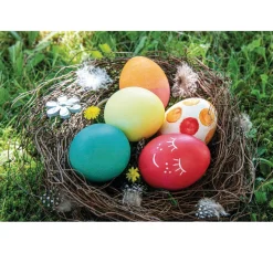 Online Rayher Eierfarben-Set mit 5 Farben