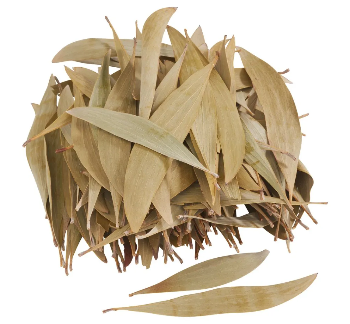 Clearance Othmar Decorations Eukalyptus Blätter, 100 g