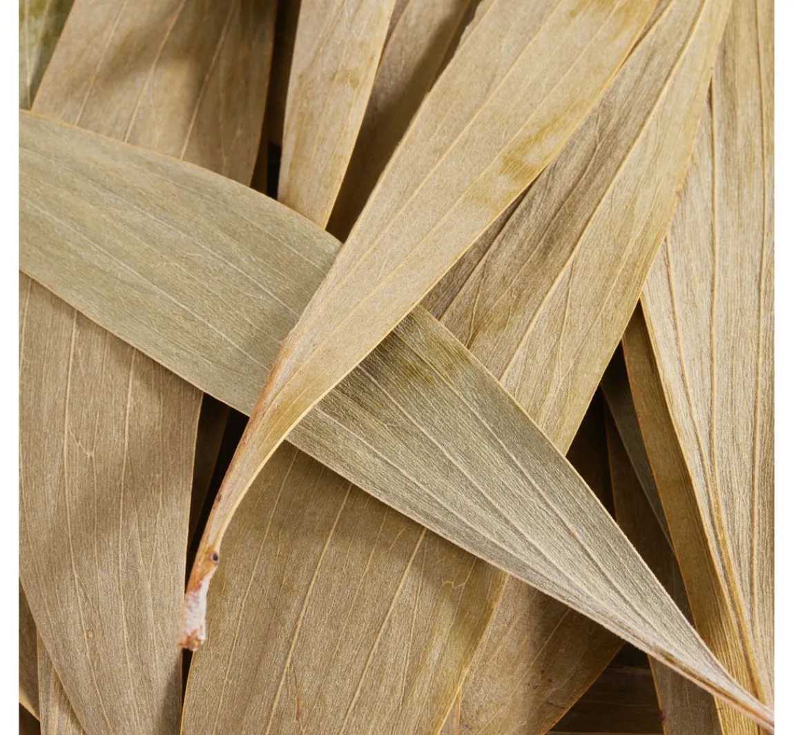 Clearance Othmar Decorations Eukalyptus Blätter, 100 g