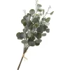 New DPI Eukalyptus Bund "Ella"