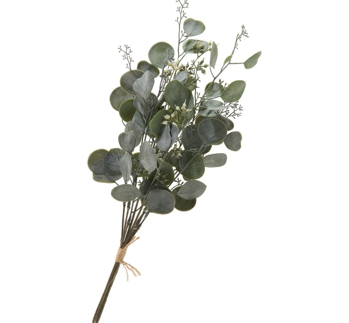 New DPI Eukalyptus Bund "Ella"