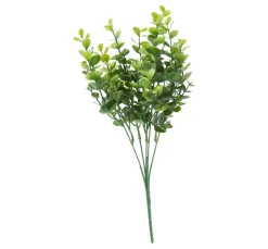 Clearance DPI Eukalyptus Pick "Mia"