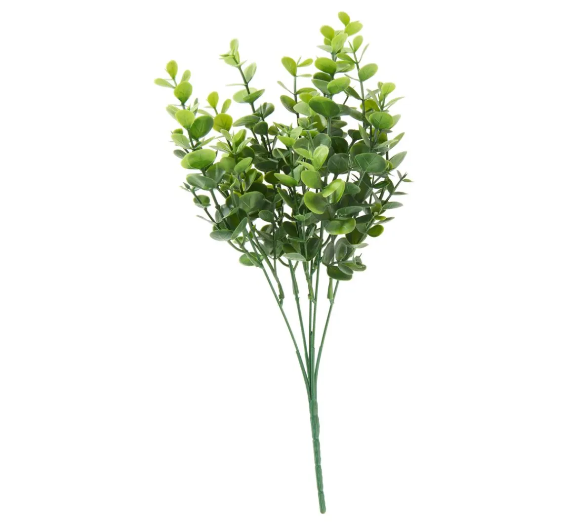 Clearance DPI Eukalyptus Pick "Mia"