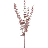 DPI Eukalyptus Zweig "Burgundy"