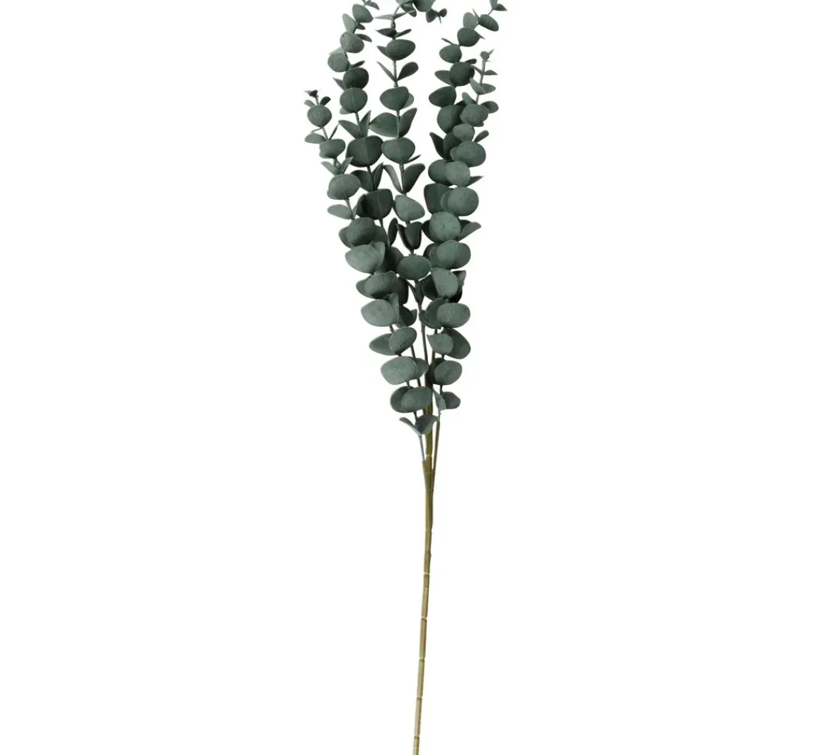 Outlet ohne Marke Eukalyptus Zweig "Evergreen"