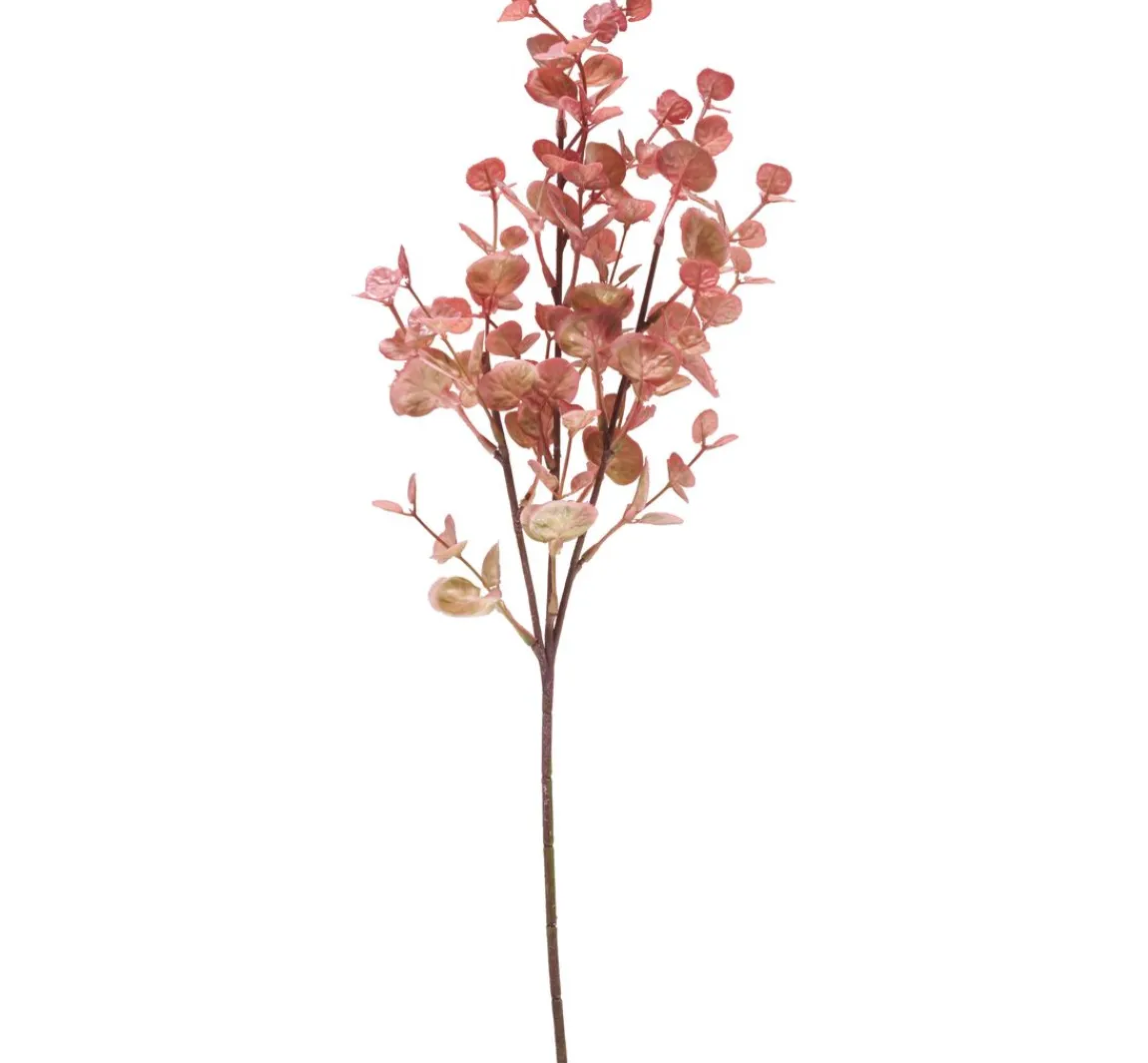 DPI Eukalyptus Zweig "Marissa"