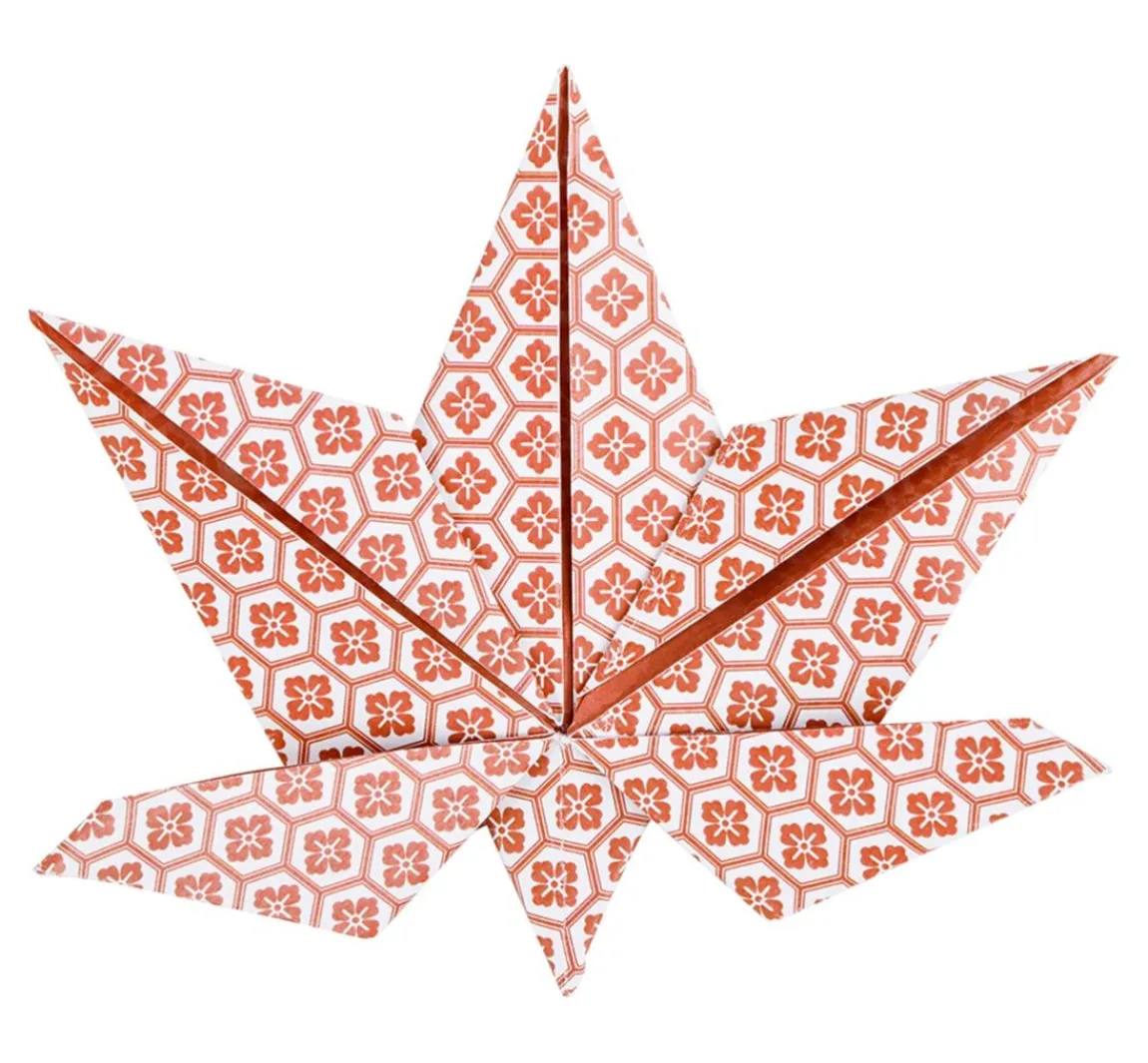 Best Clairefontaine Faltblätter "Earthy Colors"