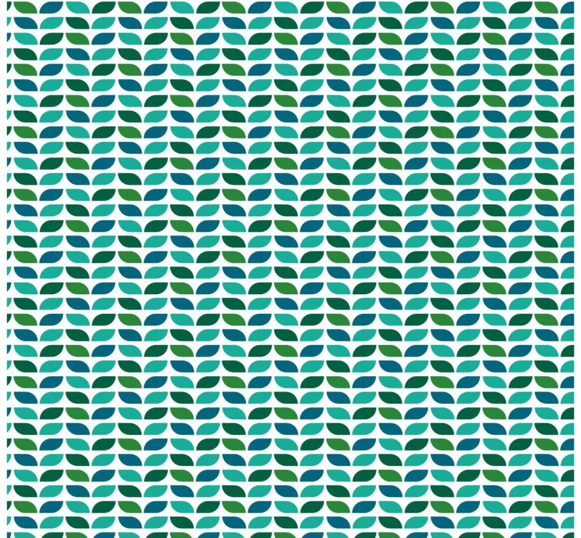 New Clairefontaine Faltblätter "Leaves", sortiert