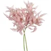 Best DPI Farn Zweig "Rosee"