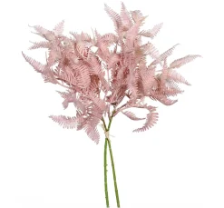 Best DPI Farn Zweig "Rosee"
