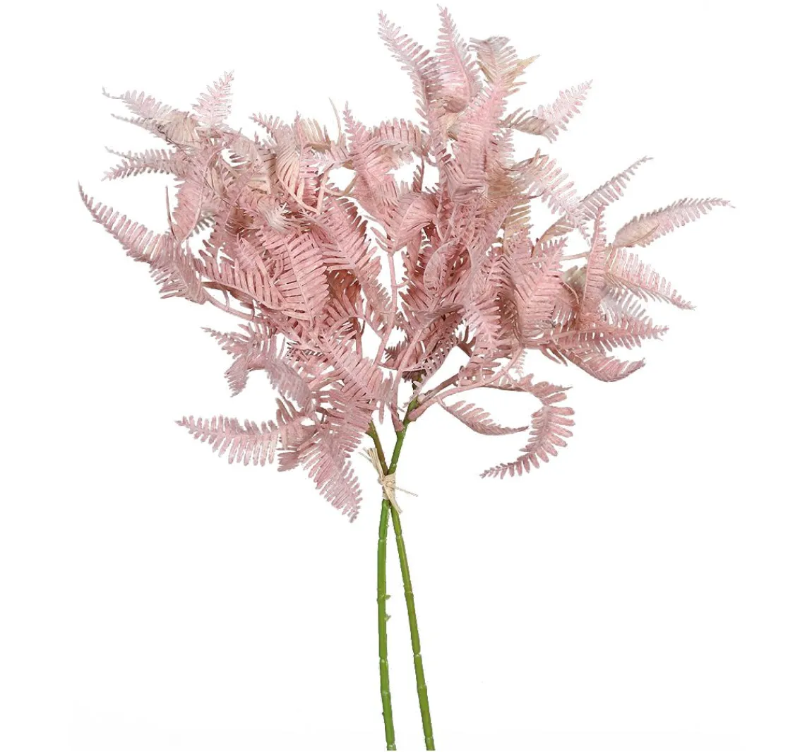 Best DPI Farn Zweig "Rosee"