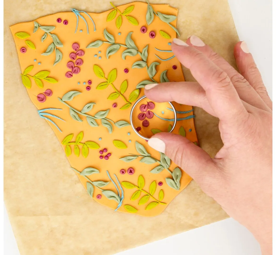 New FIMO soft Set