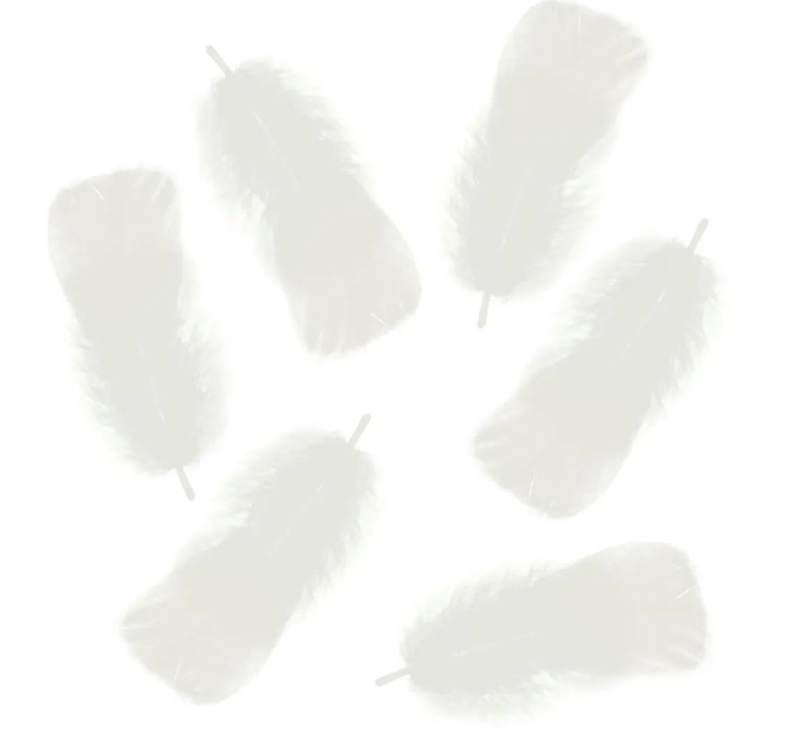 Clearance URSUS Flauschfedern, 100 g