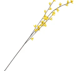 Clearance DPI Forsythien Zweig