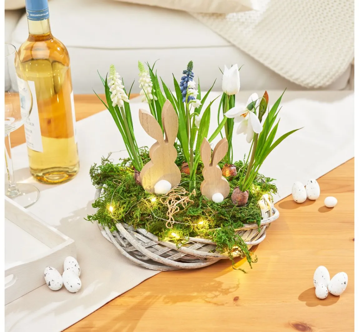 Discount DPI Frühjahrsblumen Mix mit Zwiebel