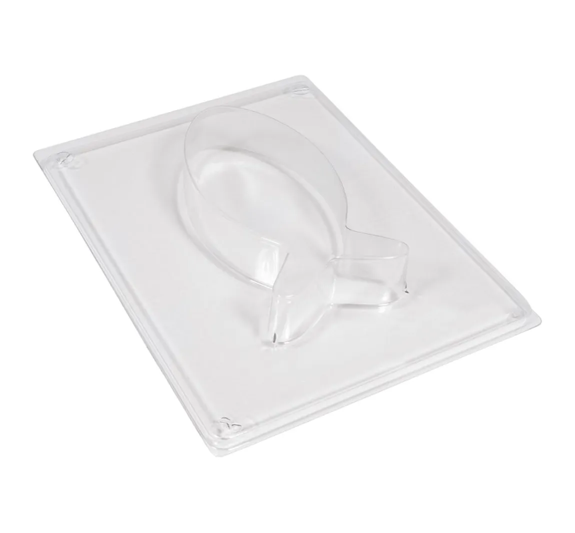 New Rayher Gießform "Fisch klein"