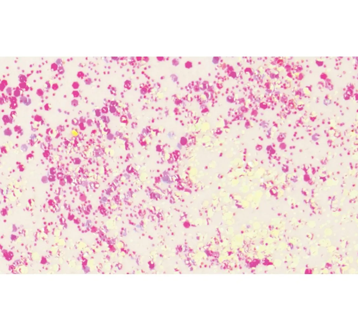 Online KNORR prandell Glitter Flaky Glue