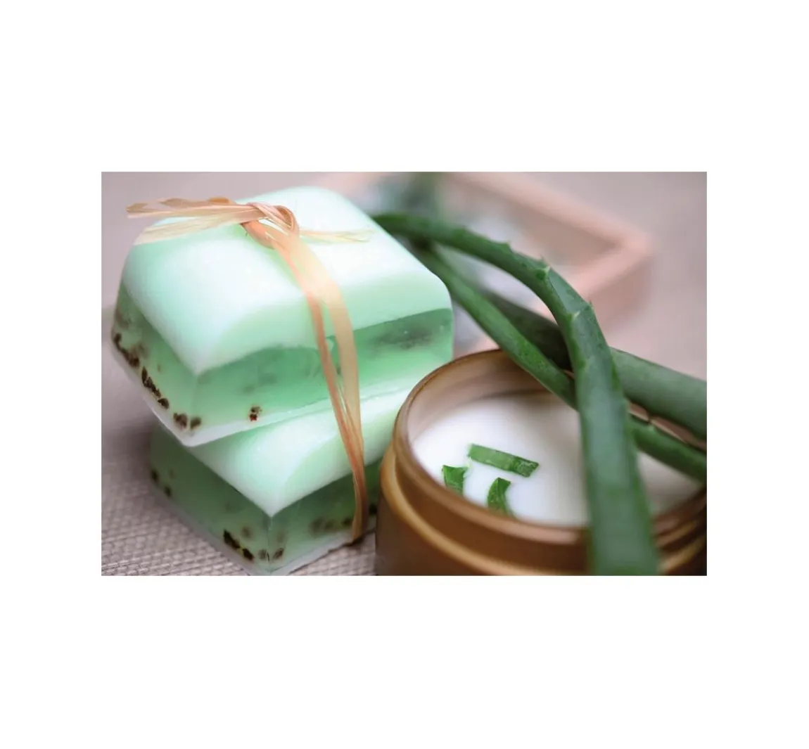Clearance GLOREX Glycerin Öko-Gießseife "Aloe Vera", transparent