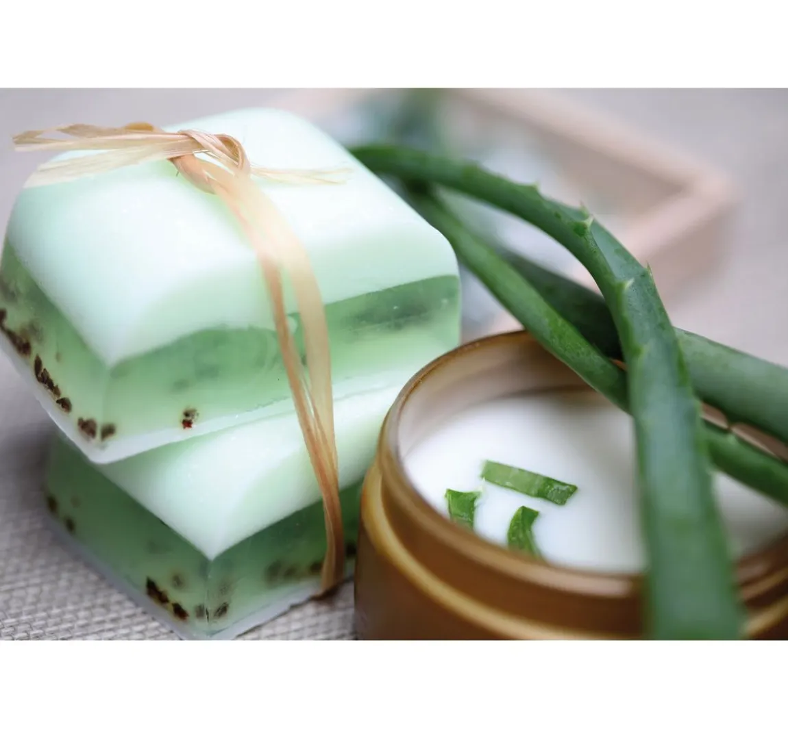 Clearance GLOREX Glycerin Öko-Gießseife "Aloe Vera", transparent