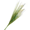 Discount DPI Gras mit Fruchtstand