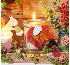 Online DPI Herbst-Laub