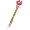 Discount ohne Marke Hillflower