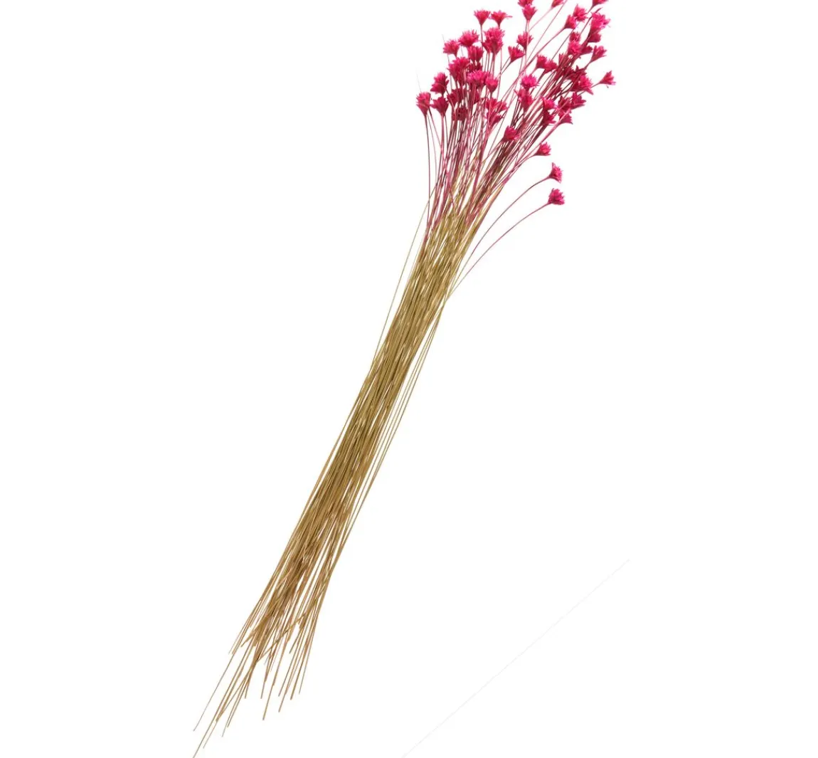 Discount ohne Marke Hillflower