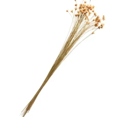 Discount ohne Marke Hillflower
