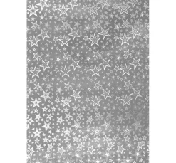 Sale Clairefontaine Holografie-Karton
