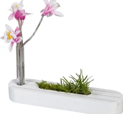 Outlet HALBACH Holzständer mit Reagenzglas