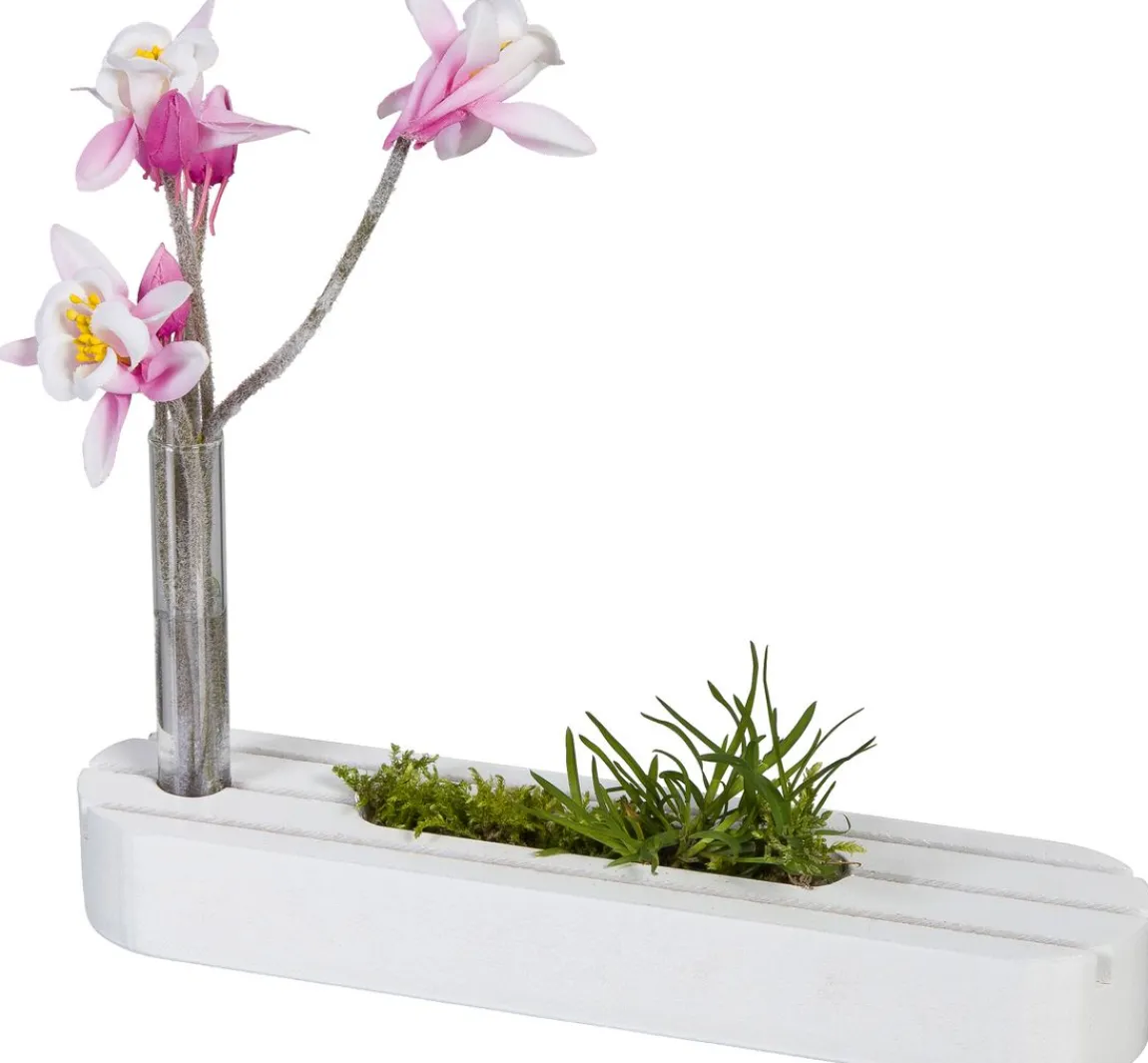 Outlet HALBACH Holzständer mit Reagenzglas