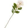 Clearance DPI Hortensie mit zwei Blüten