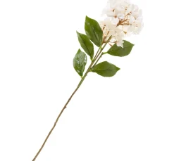 Clearance DPI Hortensie mit zwei Blüten